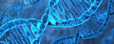 Tutti gli appunti, dispense, esercizi per gli esami di Biologia come: Fisiologia, Genetica, Antropologia, Ecologia, Botanica, Farmacologia, Microbiologia, Citologia, Zoologia, Embriologia, Etologia, Biochimica, Anatomia umana, Istologia, Virologia, Biologia molecolare, Botanica sistematica, Biochimica clinica, Biologia cellulare, Biologia farmaceutica, Anatomia comparata