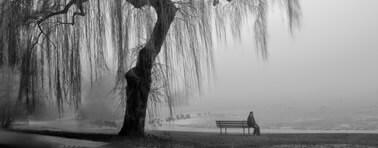 vedi gli appunti su Il Male di vivere di Montale il male di vivere montale