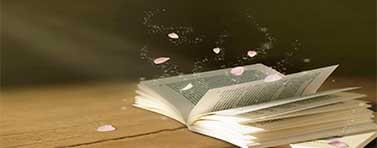 vedi gli appunti sulla poetica di tasso appunti poetica del tasso