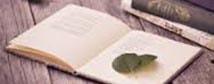 vedi gli appunti su Ulysses di Joyce ulysses joyce summary