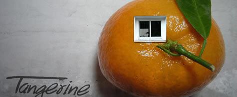 Prof punisce studente per mandarini indesiderati