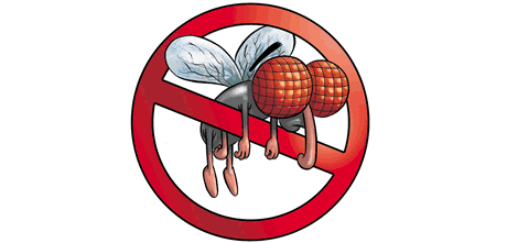 Mosca in classe: uno sguardo pericoloso