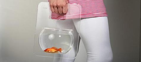 "Fate una cernia di libri": prof pescivendolo?!