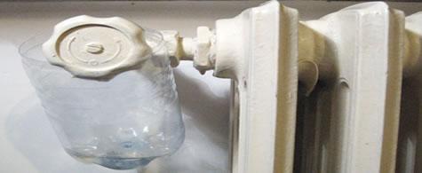 Animali morti in palestra, ma videocamere nei bagni