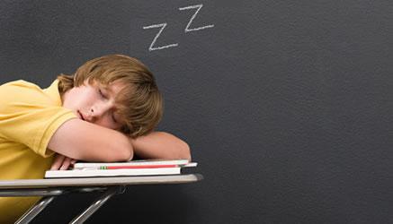 La guida per ritrovare la voglia di studiare dopo i giorni di protesta studentesca e per riconciliarsi con gli insegnanti: come riprendere il ritmo giusto, come organizzare il tempo e terminare tutti i compiti, come sopportare i professori