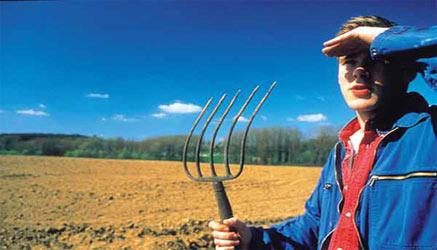 il settore che sopravvive alla crisi è quello dei lavori manuali, primo fra tutti quello dell'agricoltura
