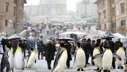 Fine emergenza neve: anno salvo o si recupera?