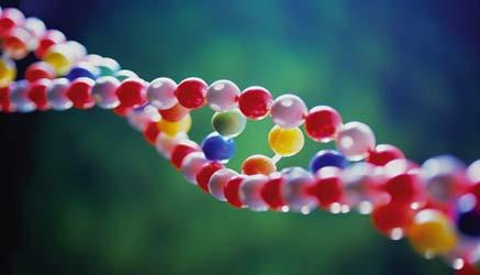 i voti degli studenti li detta il dna: la scoperta degli psicologi del King's College