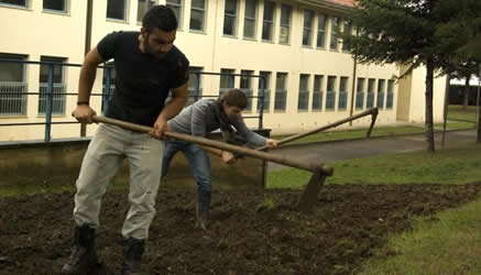 Volevano fare ponte e sono usciti prima da scuola. La preside li punisce ai lavori socialmente utili presso il cimitero comunale, il carcere minorile e le aree verdi della città