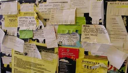 Parcheggio lontano? Ecco il 'cammello umano'