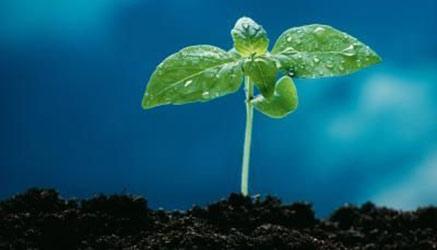 se il lavoro non c'è, i giovani se lo inventano. La storia di Bio Soil Expert