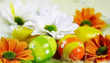 gli suguri di Skuoal.net di un felice e serena Pasqua a tutti!