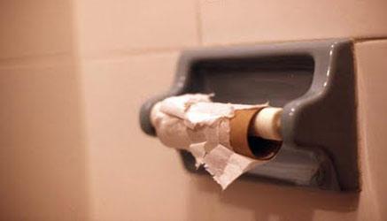 una nota marca di carta mette in palio dei rotoli di carta igienica da donare alle scuole