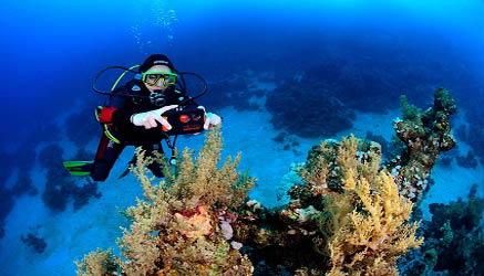 immersioni nel mar Rosso