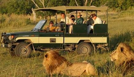 parti per un safari in kenya