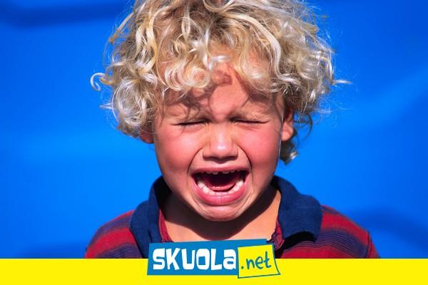  Bill Gates docet:10 cose che la scuola non insegna