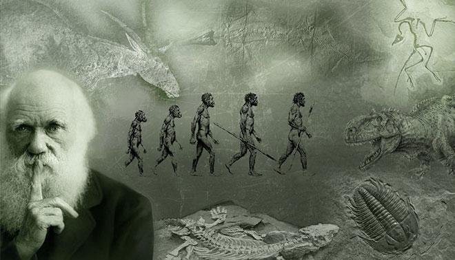 L’origine della specie di Darwin: 155 anni fa la scoperta