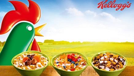 stage Kellogg's Italia