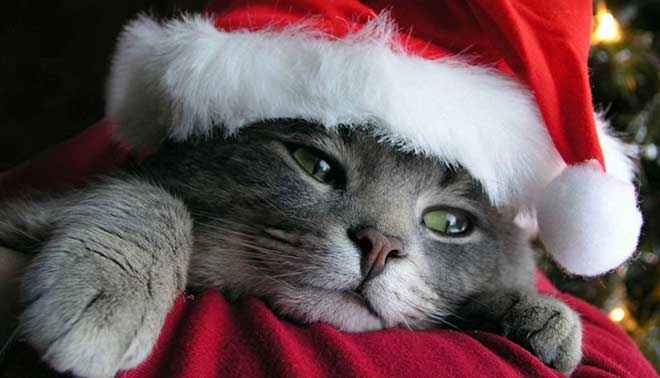 E' Natale: il concorso appunti va in vacanza