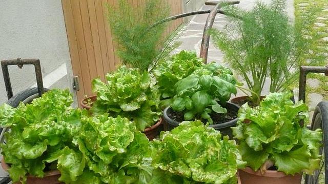 24 consigli su come risparmiare al supermercato articolo