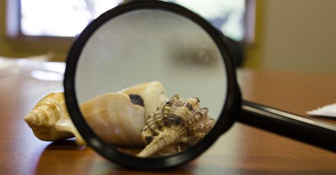 Test ingresso biologia: tutte le info utili articolo