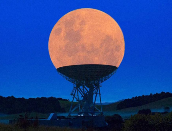 15 foto che sembrano ritoccate con photoshop… e invece non lo sono! articolo