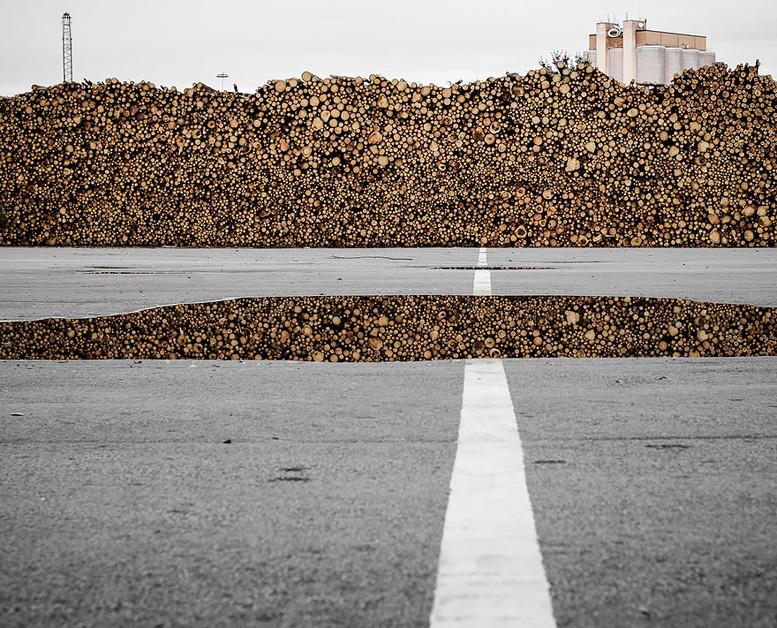 15 foto che sembrano ritoccate con photoshop… e invece non lo sono! articolo