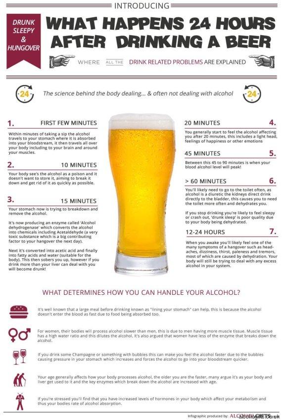 Ecco cosa succede nelle 24 ore successive dopo aver bevuto una Birra articolo