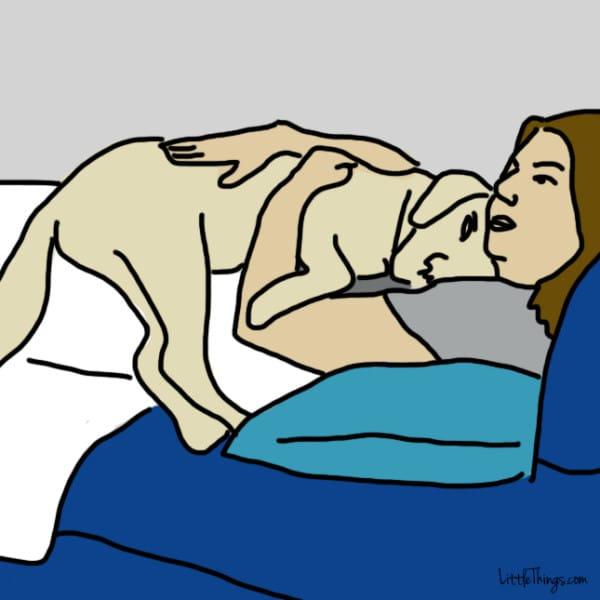 10 modi segreti con cui il vostro cane vorrebbe dirti "Ti Amo" e voi non capite articolo
