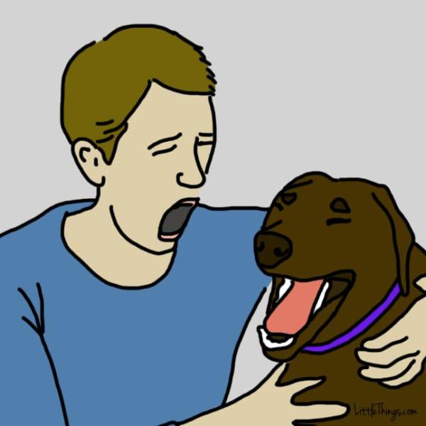 10 modi segreti con cui il vostro cane vorrebbe dirti "Ti Amo" e voi non capite articolo
