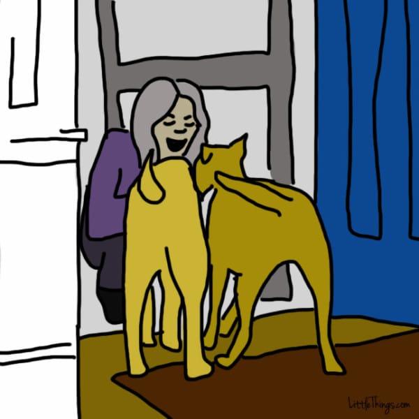 10 modi segreti con cui il vostro cane vorrebbe dirti "Ti Amo" e voi non capite articolo