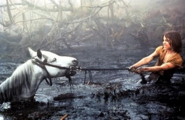 5 traumi cinematografici che ci portiamo dall’infanzia articolo