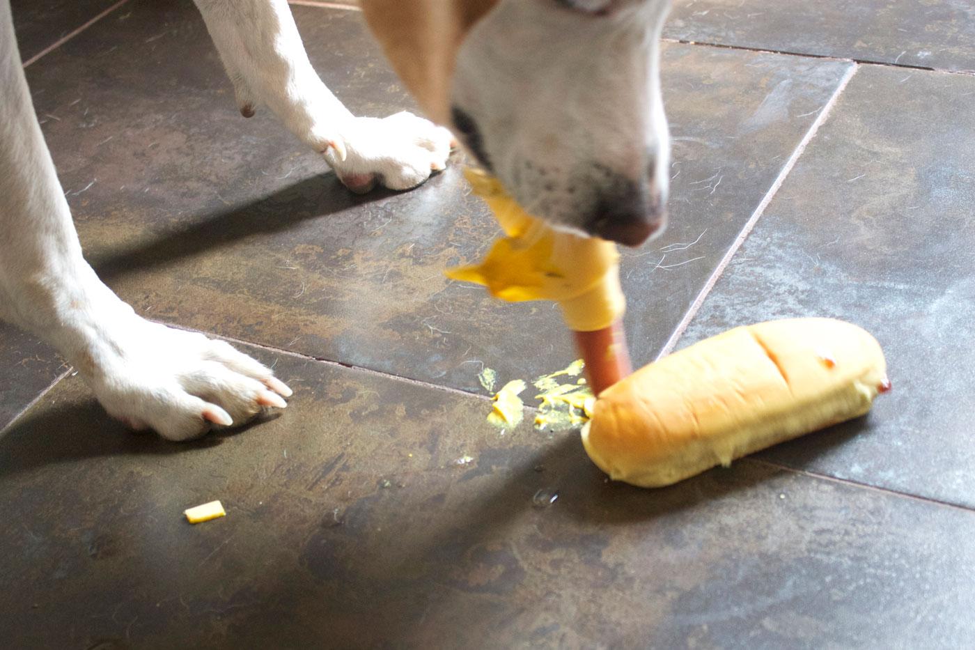 Le principesse Disney trasformate in Hot Dog (FOTO) articolo