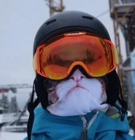 L'ultima moda sulle piste da scii: la Ski Mask da animale! articolo