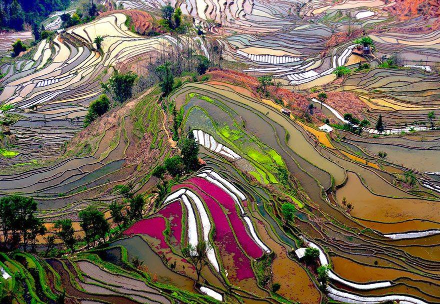 Come sarebbe il mondo se tu fossi un uccello? 30 FOTO articolo
