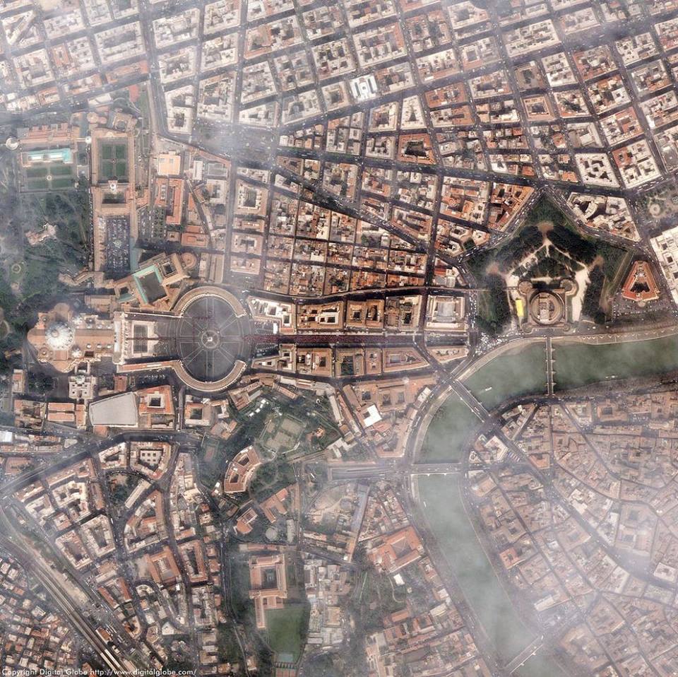 Come sarebbe il mondo se tu fossi un uccello? 30 FOTO articolo