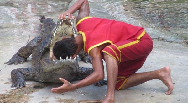 20 persone che probabilmente sono morte dopo aver sfidato la natura articolo