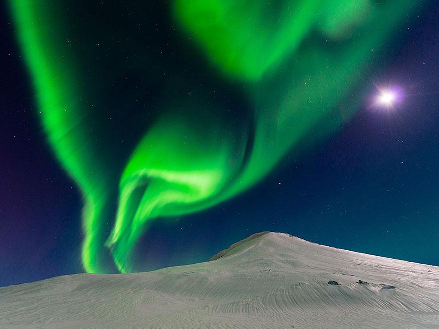 Foto Natura: i 20 scatti più belli del 2015 articolo