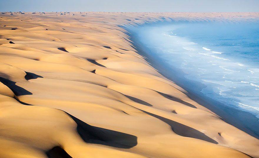 Come sarebbe il mondo se tu fossi un uccello? 30 FOTO articolo