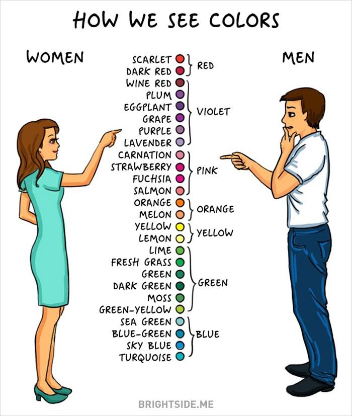 Donne vs Uomini: 14 differenze chiare tra i due sessi! articolo