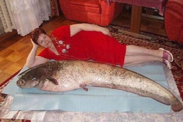 Incontri online in Russia: le 20 foto profilo più imbarazzanti ed inspiegabili articolo