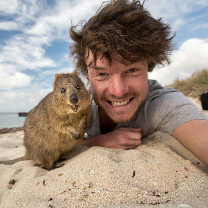 L'esperimento di Allan: 20 selfie completamente folli con gli animali! articolo