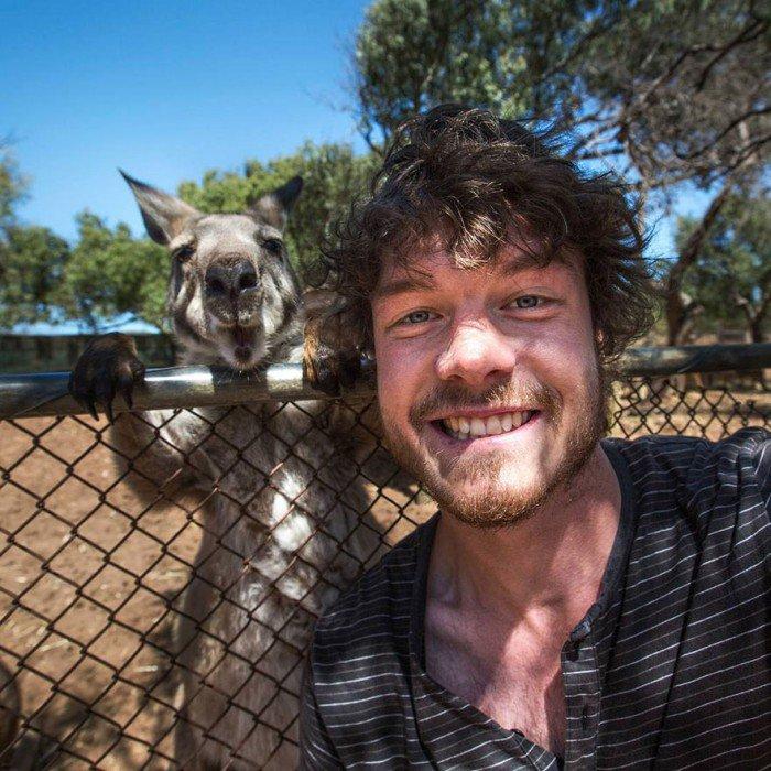 L'esperimento di Allan: 20 selfie completamente folli con gli animali! articolo