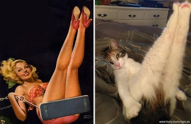 16 gatti che vogliono somigliare clamorosamente a delle Star! articolo