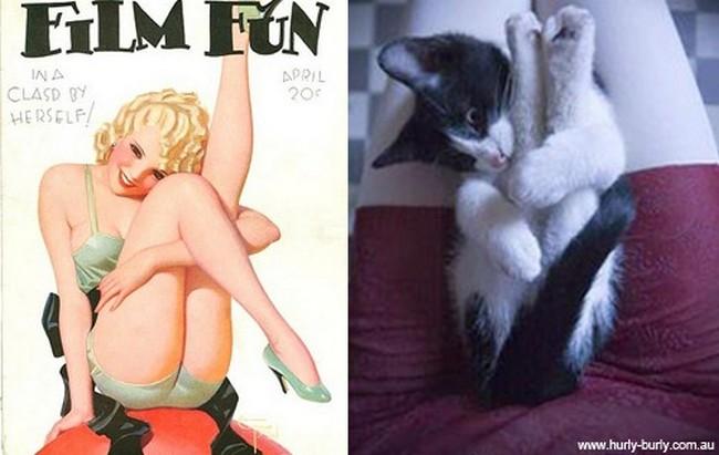 16 gatti che vogliono somigliare clamorosamente a delle Star! articolo