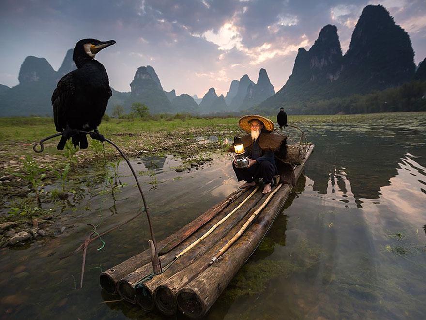 Foto Natura: i 20 scatti più belli del 2015 articolo
