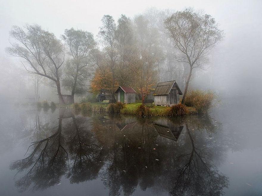 Foto Natura: i 20 scatti più belli del 2015 articolo