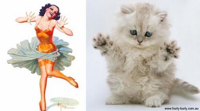 16 gatti che vogliono somigliare clamorosamente a delle Star! articolo