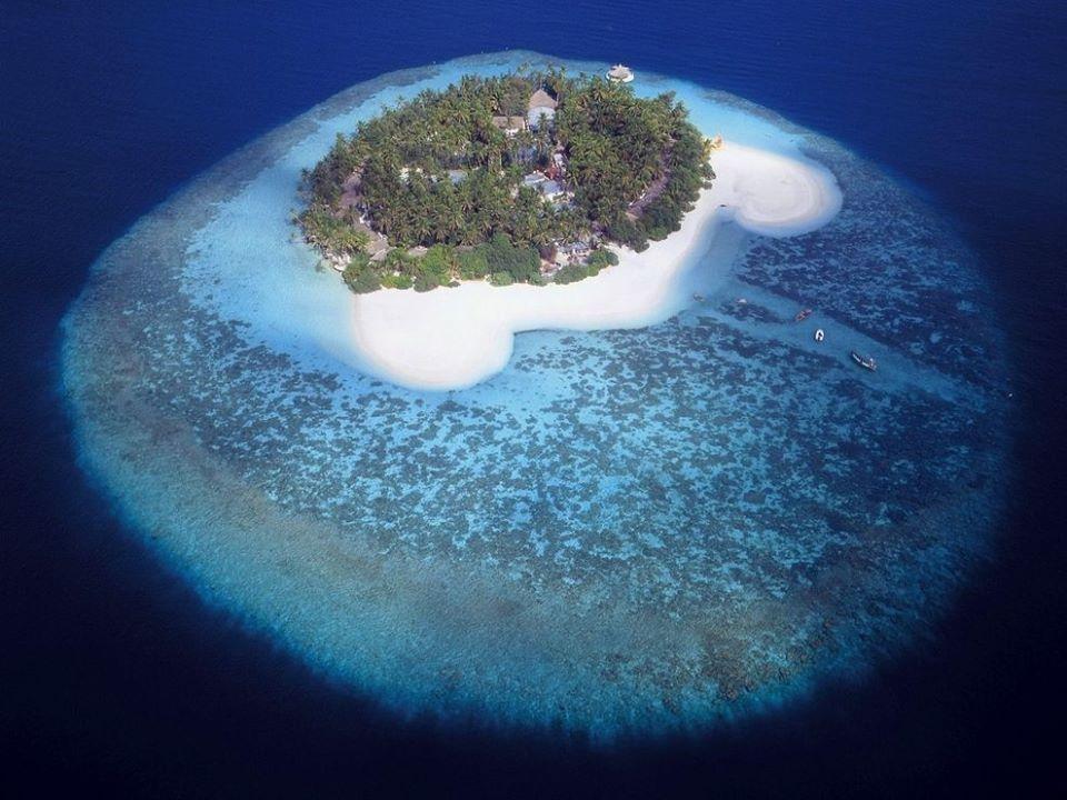 Come sarebbe il mondo se tu fossi un uccello? 30 FOTO articolo
