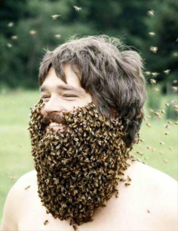 20 persone che probabilmente sono morte dopo aver sfidato la natura articolo